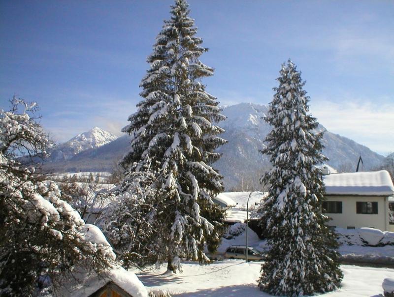 Gaestehaus Berger Inkl. Chiemgaukarte Ruhpolding Buitenkant foto